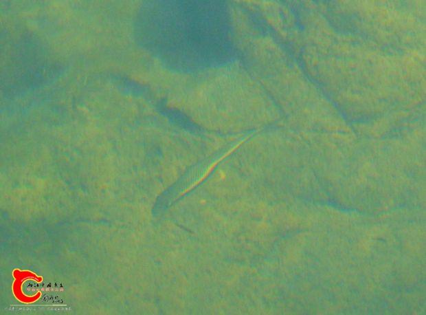 DSC00120.jpg