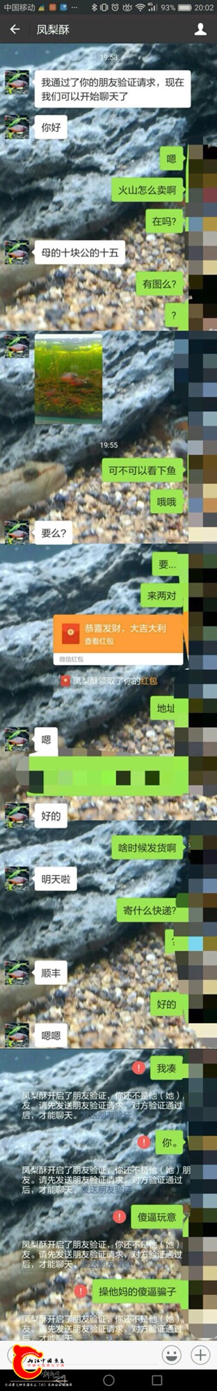 151049ugg3ekwpx0preiye.jpg