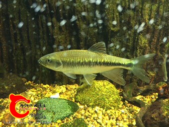 201326l4an2l4wlq8zbc7h.jpg