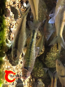 201328bg5k1k2m2g5ee9cm.jpg