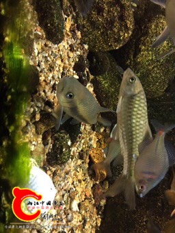 201334tmucngc6bek6tg5m.jpg