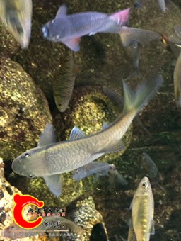 201336p22yacfecm2zgza9.jpg