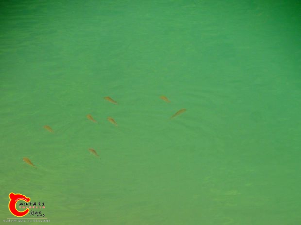 DSC00012_副本.jpg