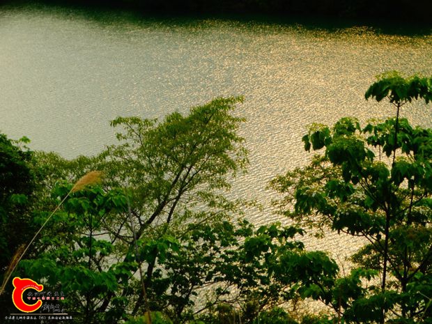 DSC00048_副本.jpg