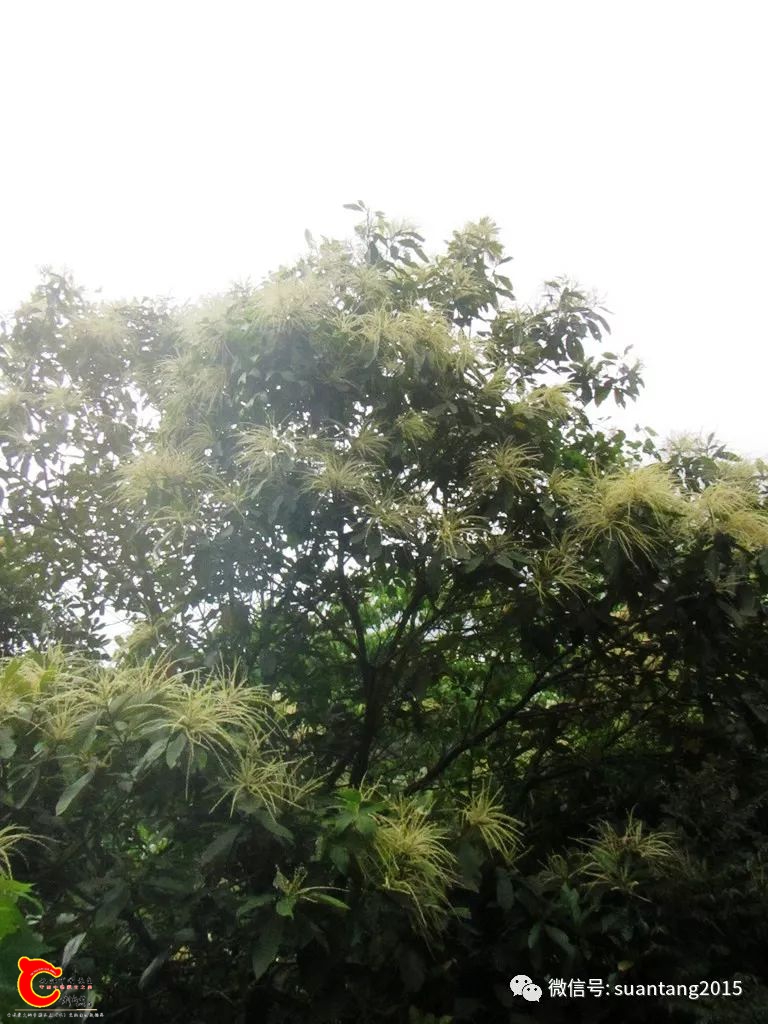 c2ee3588a4f8a962901f98e9aa9edd31.jpg