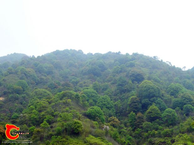 DSC00023_副本.jpg