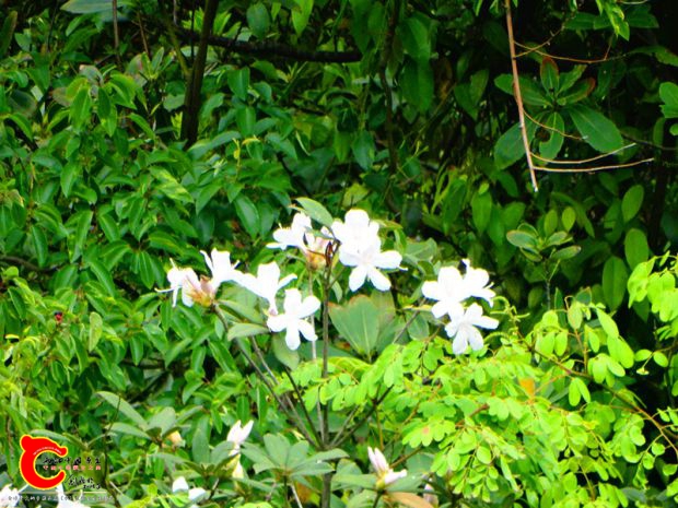 DSC00027_副本.jpg