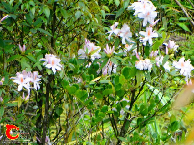 DSC00030_副本.jpg