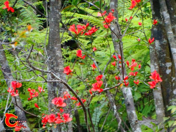 DSC00033_副本.jpg