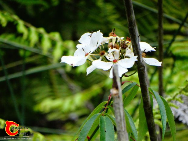 DSC00039_副本.jpg