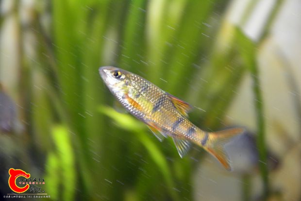 DSC_4164.JPG
