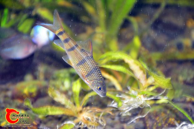 DSC_4169.JPG