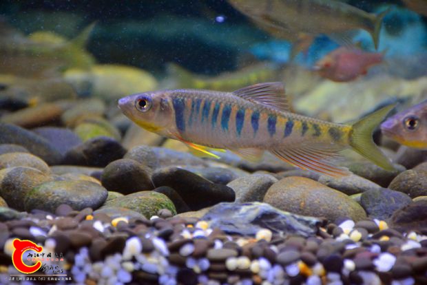 DSC_4186.JPG