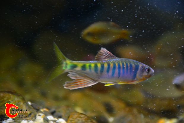 DSC_4288.JPG