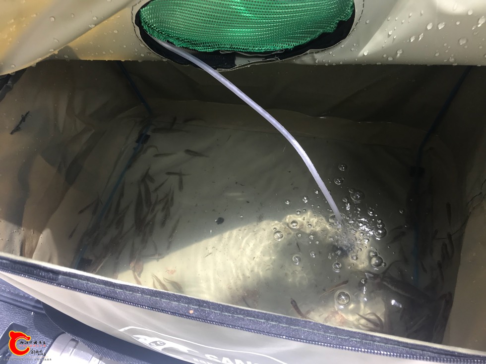 170634e31zvi7v7ia81pvf.jpg