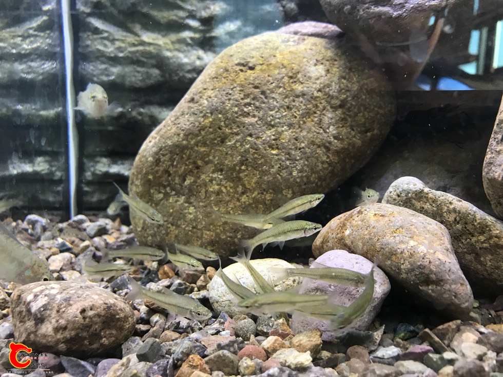 170636rp7r55pbqwkc6k57.jpg