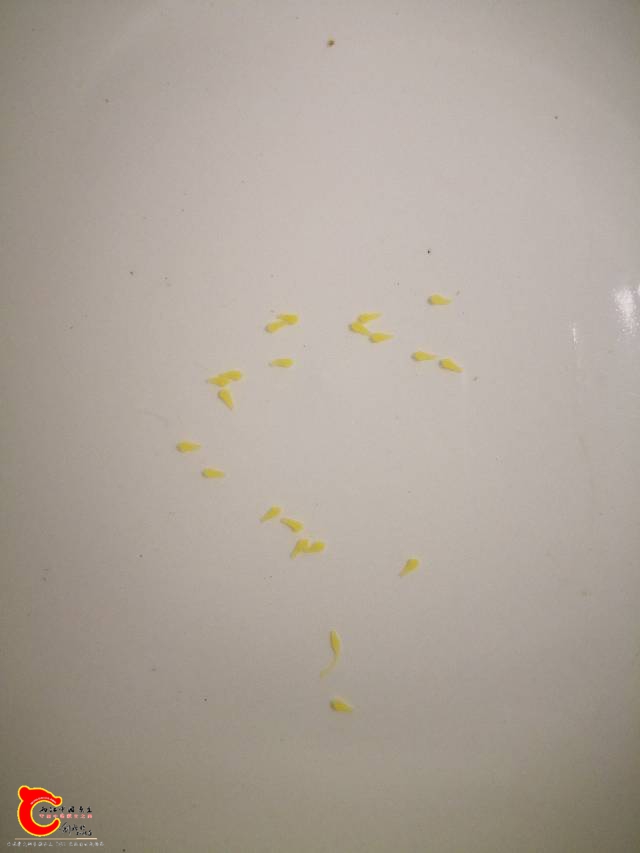 015145hgxgaxzj5i6faofy.jpg