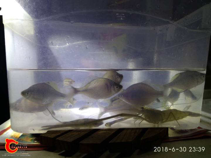 132842ff0wuc2huuc6c3cc.jpg