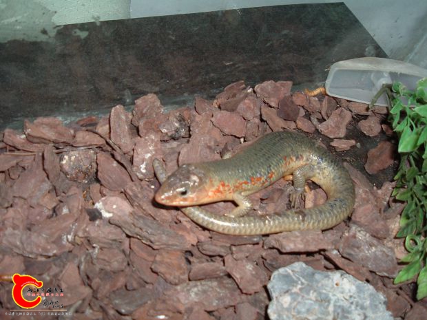 DSCF1268.JPG
