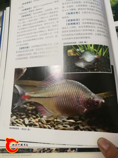 微信图片_20180726224004.jpg