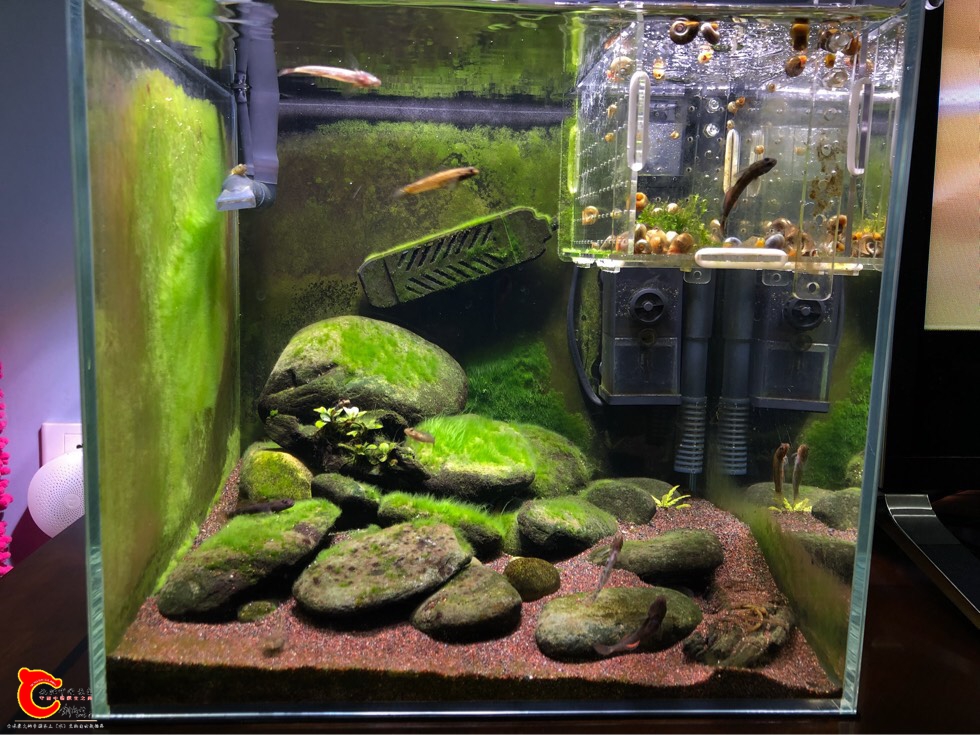 120909cj1hiijaoj4ij81m.jpg