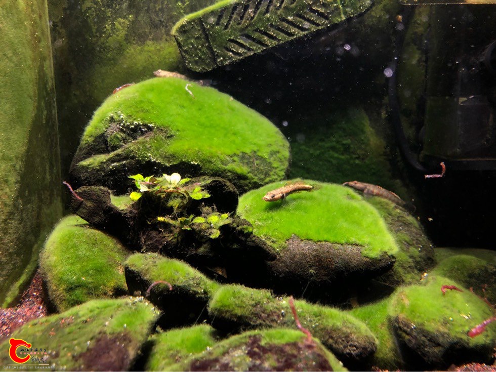 120928sca9pvtz7glsw7ai.jpg