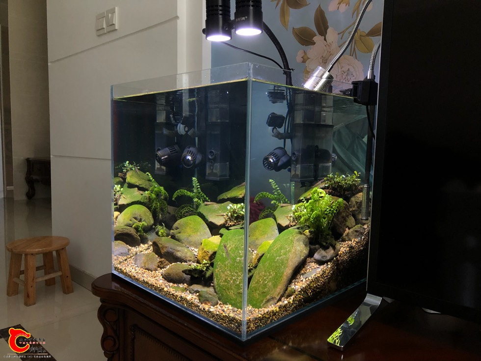 120951vcn389cwpwekmk9n.jpg