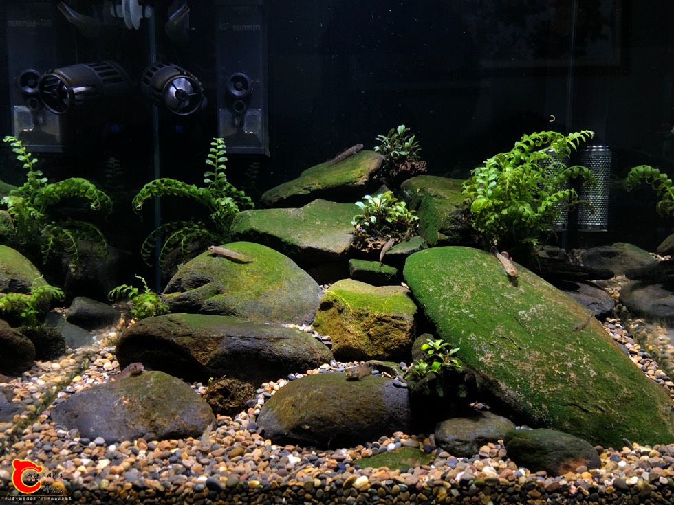 120953qyb8gyswmwq3bbwx.jpg