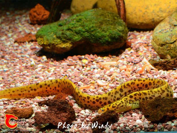 DSC_2255_副本.jpg