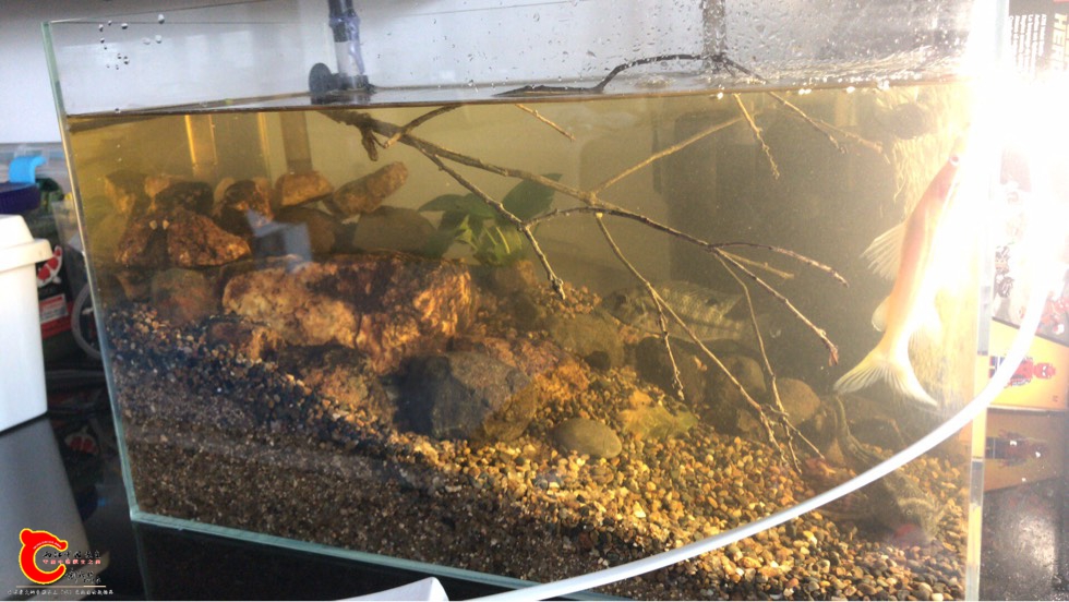092159yupuxxukpqr7l7pz.jpg