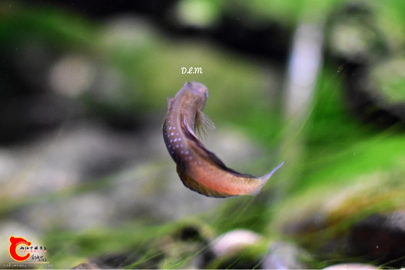 121727kz91zaml2aaam1b2.jpg