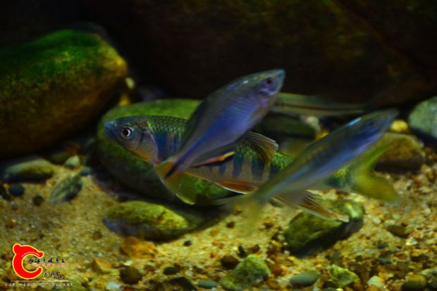 DSC_4361.JPG