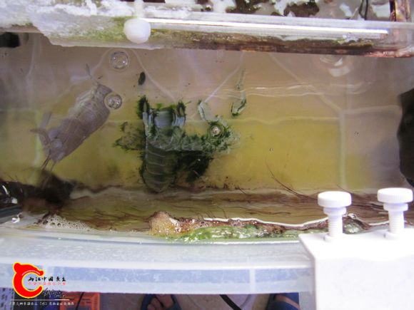 2345_image_file_copy_74.jpg