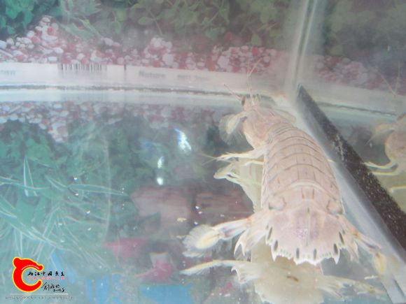 2345_image_file_copy_99.jpg