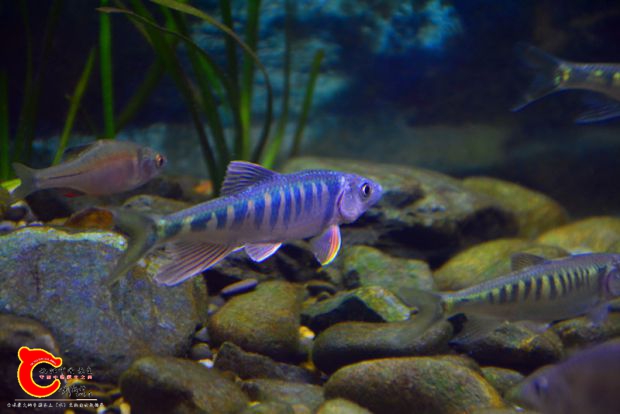 DSC_4383.JPG