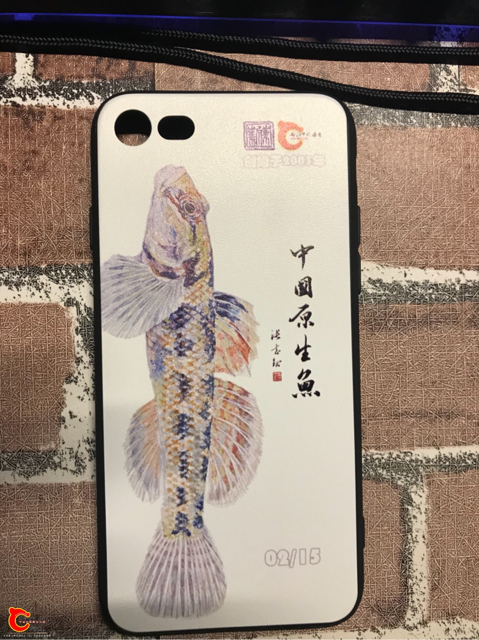 181034fwlnqqsv8ofvusmv.jpg
