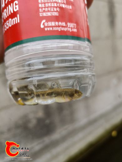IMG20180920121456.jpg
