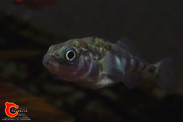 IMG_1855_副本.jpg
