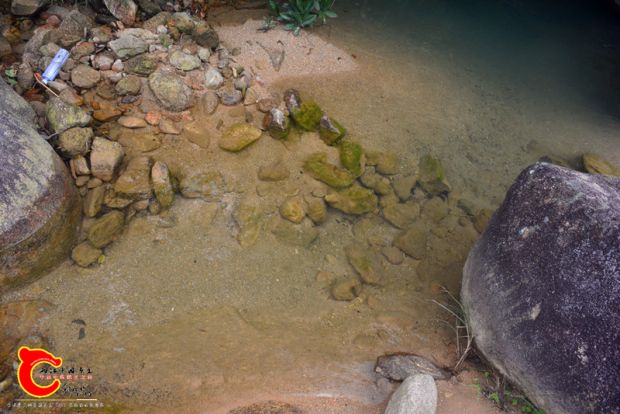 DSC_4402.JPG