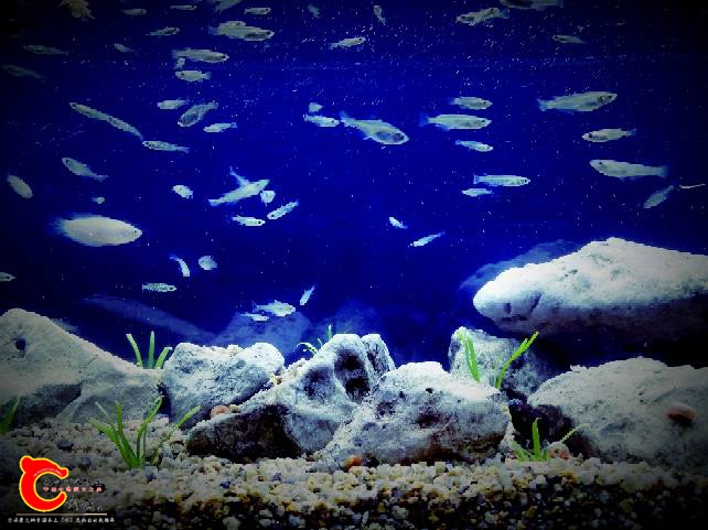 221346zgyd8ennnldo2zp2.jpg