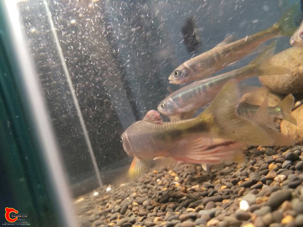 223314lnakjss887hyqsnj.jpg