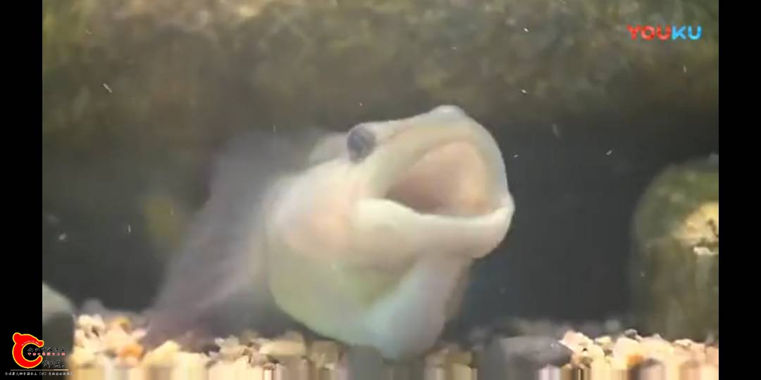 094841hjj9h8vbvwr9vgzw.png