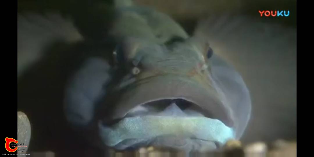 094912r22rz652yrt63n2o.png