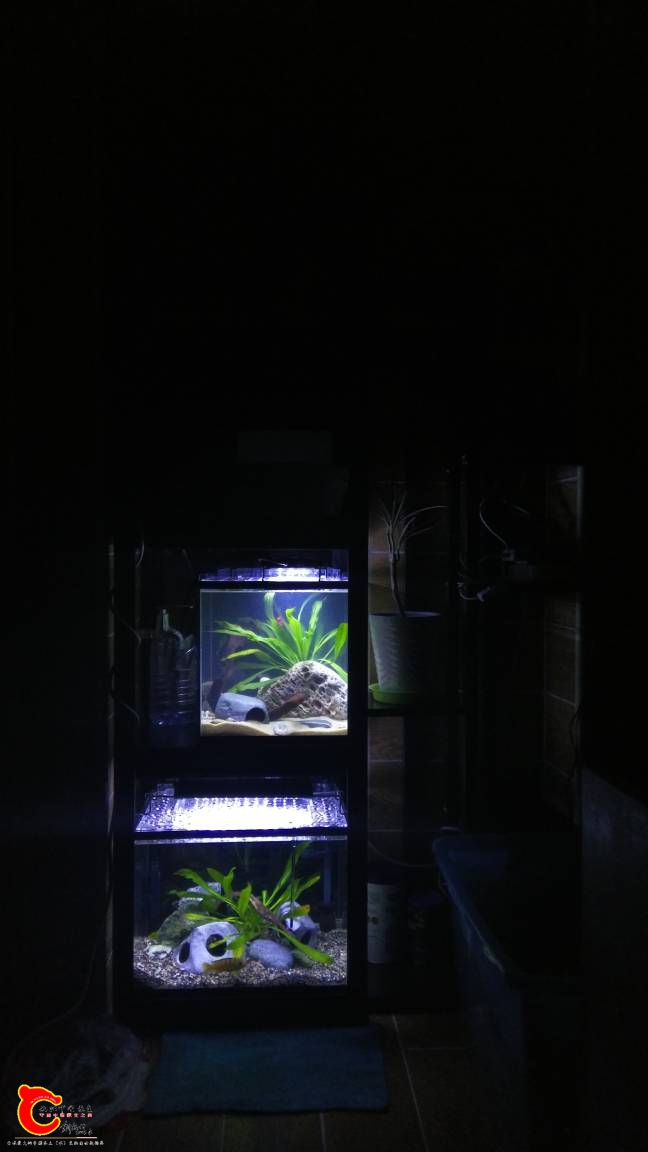 224232rct9992hiz2j2t54.jpg