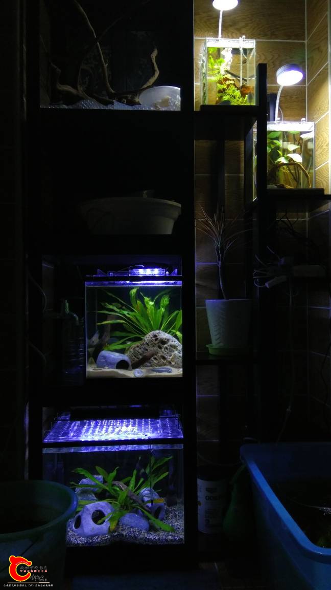 224234yxziks46btssnbdo.jpg