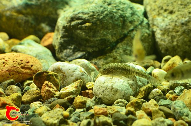 DSC_1909.JPG