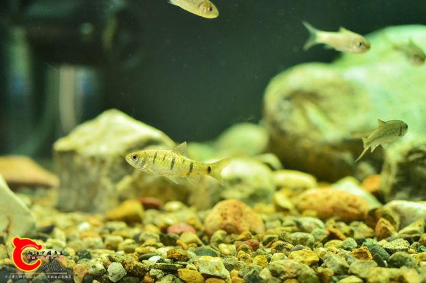 DSC_2206.JPG