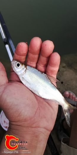 IMG_20191003_084246.jpg