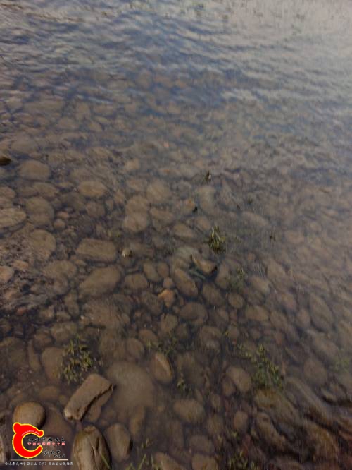 190027cf75h4m6ugg1651u.jpg