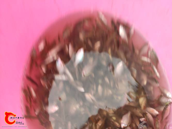 190035twm0dmm8o8l08c7m.jpg